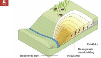 Denne illustrasjonen viser hvordan NVE jobber med å vurdere rasfare i raviner. Denne illustrasjonen viser hvordan NVE jobber med å vurdere rasfare i raviner.
