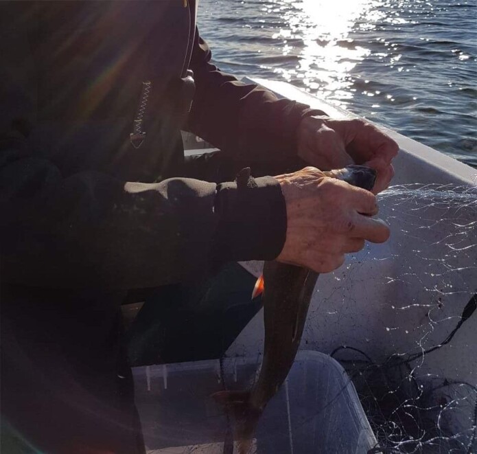 Tana kommune har ansatt en aktivitør som tar med seg gamle ut og tilbyr dem aktiviteter som har vært viktig i livet deres, for eksempel å fiske. Tana kommune har ansatt en aktivitør som tar med seg gamle ut og tilbyr dem aktiviteter som har vært viktig i livet deres, for eksempel å fiske.