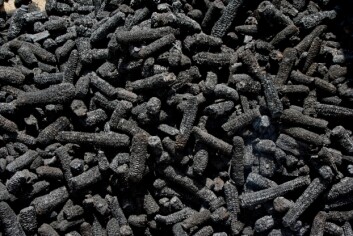 Forbrenning av organisk materiale uten tilførsel av oksygen fører til at det dannes kull. Dette ser ut som forkullede maiskolber, men består av nesten helt rent karbon. (Foto: NGI) Forbrenning av organisk materiale uten tilførsel av oksygen fører til at det dannes kull. Dette ser ut som forkullede maiskolber, men består av nesten helt rent karbon. (Foto: NGI)