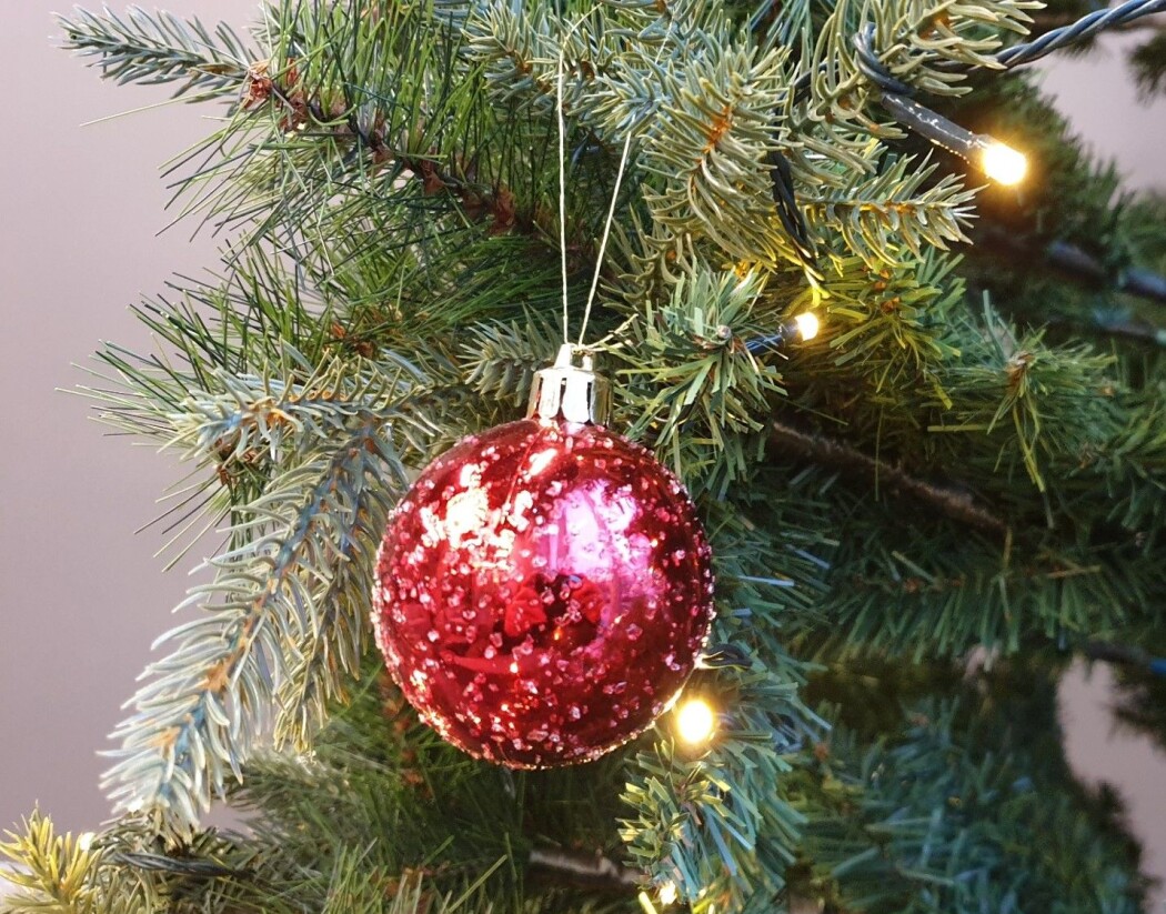 Hvilket juletre velger du? Gran, furu, edelgran – eller kanskje et grønt og glitrende plasttre som dette? Hvilket juletre velger du? Gran, furu, edelgran – eller kanskje et grønt og glitrende plasttre som dette?