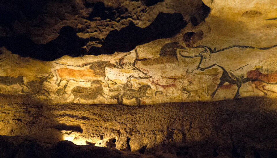 Mye bison og hest på steinalder-malerier i huler i Europa.