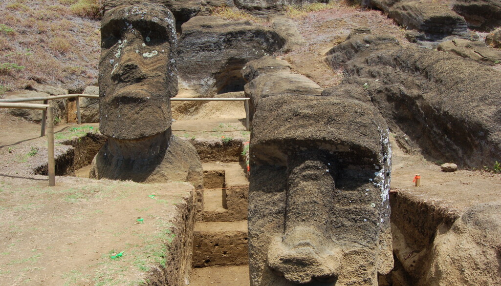 Forskere gravde frem disse statuene fra vulkankrateret Rano Raraku. De var trolig plassert der som en hyllest til fruktbarheten i området, tror arkeologer. Forskere gravde frem disse statuene fra vulkankrateret Rano Raraku. De var trolig plassert der som en hyllest til fruktbarheten i området, tror arkeologer.