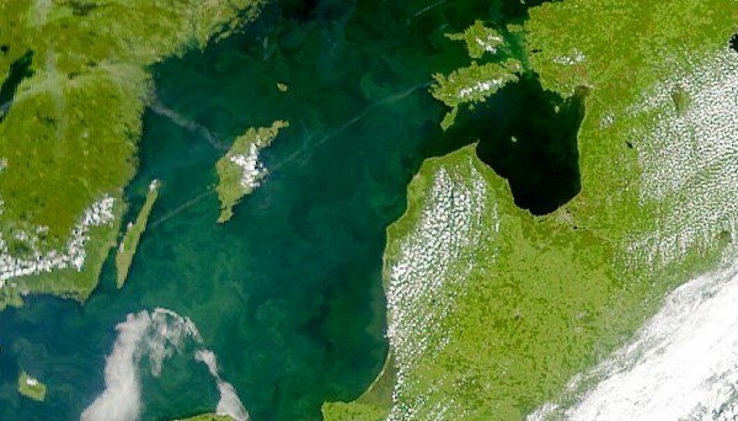 Varmere Østersjø kan gi mer alger