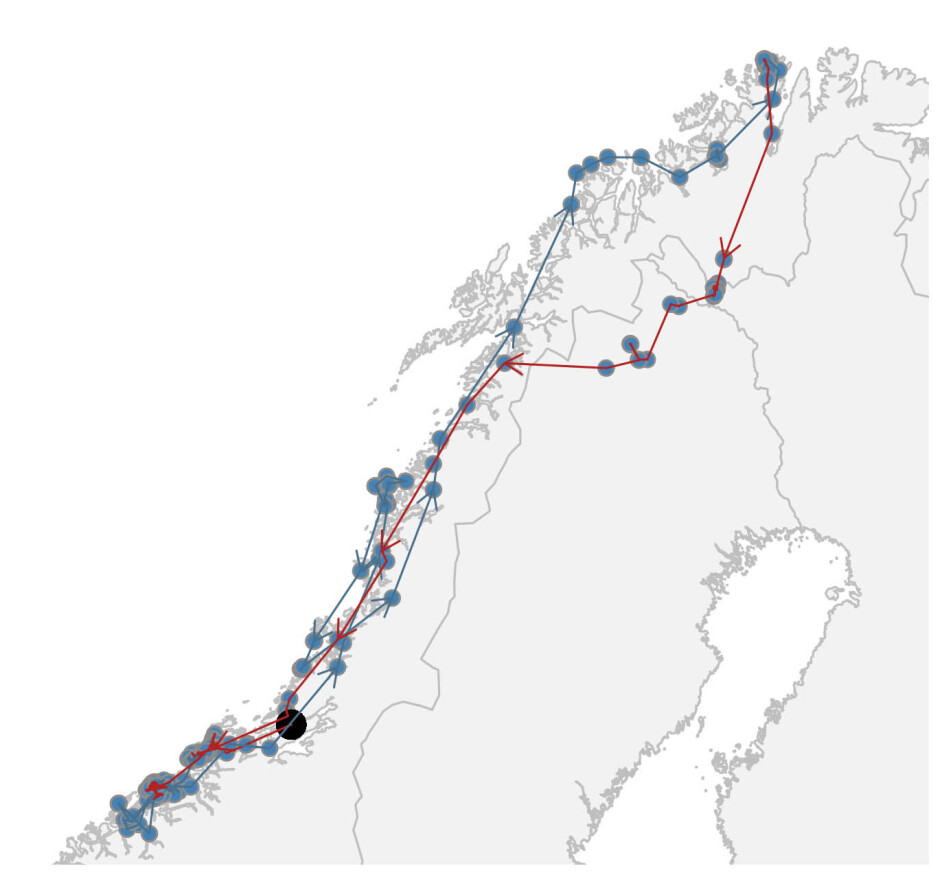 Ørnars vandring fra han ble fanget og merket på Fosen høsten 2018. Turen fra Møre til Nord-Norge startet i april og endte i slutten av oktober 2019