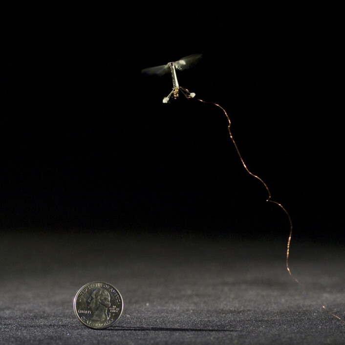 Roboten RoboBee flyr med superraske, nesten usynlige vingeslag. (Foto: Kevin Ma and Pakpong Chirarattananon, Harvard University) Roboten RoboBee flyr med superraske, nesten usynlige vingeslag. (Foto: Kevin Ma and Pakpong Chirarattananon, Harvard University)