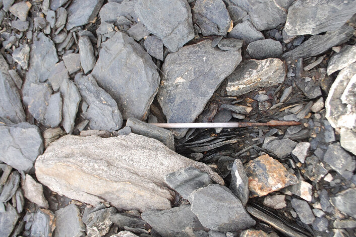 Denne pilspissen var i bruk for 5400 år siden. Den ble funnet på Dovrefjell. (Foto: Martin Callanan) Denne pilspissen var i bruk for 5400 år siden. Den ble funnet på Dovrefjell. (Foto: Martin Callanan)