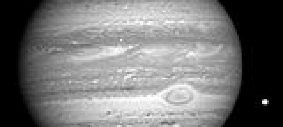 'Jupiter fotografert av New Horizons 8. januar i år. Foto: NASA'