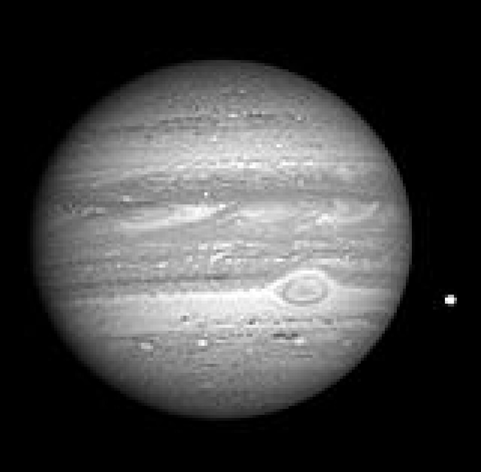 'Jupiter fotografert av New Horizons 8. januar i år. Foto: NASA'