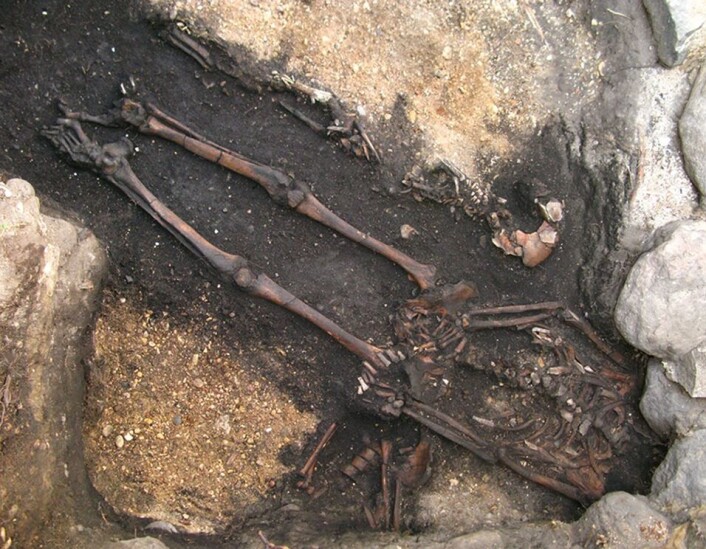 Grav 323/325. Mannens hode har blitt skadet under byggingen av huset i området. Barnet, som har vært pakket inn, kan sees øverst i bildet. Restene av en eldre grav, grav 330, krysser bekkenområdet til mannen. (Foto: Liv Nilsson Stutz og Lars Larsson) Grav 323/325. Mannens hode har blitt skadet under byggingen av huset i området. Barnet, som har vært pakket inn, kan sees øverst i bildet. Restene av en eldre grav, grav 330, krysser bekkenområdet til mannen. (Foto: Liv Nilsson Stutz og Lars Larsson)