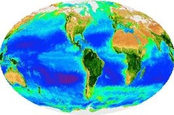 En NASA-animasjon viser over hvordan livet både i havet og på landjorda varierer med årstidene, og hvor viktig fotosyntesen er. Animasjonen finner du her: http://tinyurl.com/pom83jv (Foto: (NASA)) En NASA-animasjon viser over hvordan livet både i havet og på landjorda varierer med årstidene, og hvor viktig fotosyntesen er. Animasjonen finner du her: http://tinyurl.com/pom83jv (Foto: (NASA))