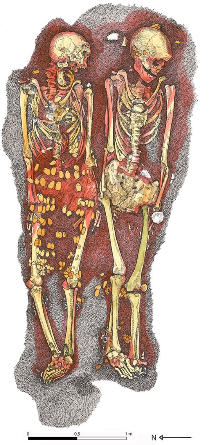Illustrasjonen viser hvordan grav 316/317 så ut da arkeologene oppdaget den. Smykkene og ringene av rav ble fjernet av arkeologene like etter funnet for å unngå plyndring. (Foto: (Illustrasjon: Loic Lecareux)) Illustrasjonen viser hvordan grav 316/317 så ut da arkeologene oppdaget den. Smykkene og ringene av rav ble fjernet av arkeologene like etter funnet for å unngå plyndring. (Foto: (Illustrasjon: Loic Lecareux))