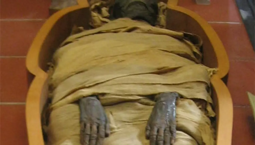 Mumiar hadde forkalka årer