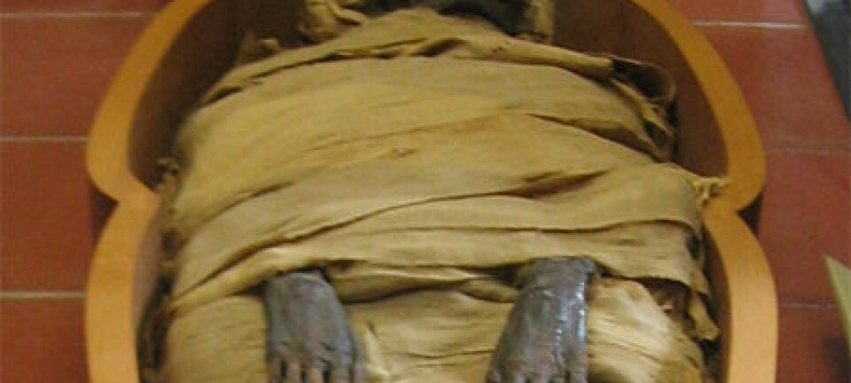 Egyptisk mumie. Joshua Sherurcij, Wikimedia Commons