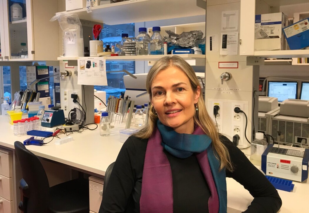 Professor Johanna Olweus har fått 20 millioner kroner til forskning på immunterapi. Professor Johanna Olweus har fått 20 millioner kroner til forskning på immunterapi.
