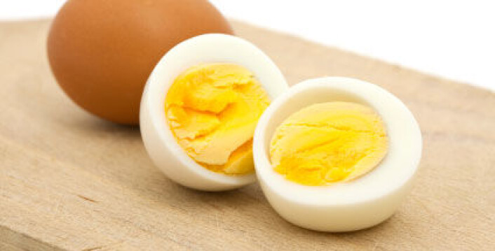 Ett egg hver dag i et år ga et sted mellom halvparten av og to tredeler av åreforkalkningsøkningen som det ga å røyke en 20-pakning med sigaretter om dagen i et år, ifølge forskernes resultater. (Foto: iStockphoto) Ett egg hver dag i et år ga et sted mellom halvparten av og to tredeler av åreforkalkningsøkningen som det ga å røyke en 20-pakning med sigaretter om dagen i et år, ifølge forskernes resultater. (Foto: iStockphoto)
