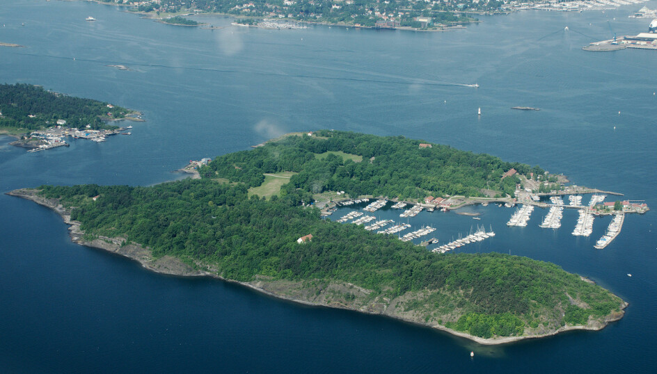 Slik ser Hovedøya ut i dag. Interneringsleirene lå på de to påne plassene i midten av bildet.