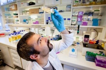 Hans Petter Kleppen har tatt doktorgrad på slemme bakteriofager som går til angrep på melkesyrebakterier. Nå jobber han med snille bakteriofager som angriper slemme bakterier. (Foto: Håkon Sparre/UMB) Hans Petter Kleppen har tatt doktorgrad på slemme bakteriofager som går til angrep på melkesyrebakterier. Nå jobber han med snille bakteriofager som angriper slemme bakterier. (Foto: Håkon Sparre/UMB)