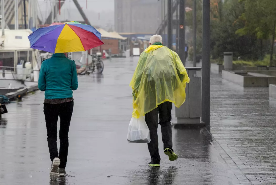 Klimaforsker Erik Kolstad tror mildere vintre er den nye normalen i Norge. Han varsler en våt og mild vinter fram til slutten av mars.