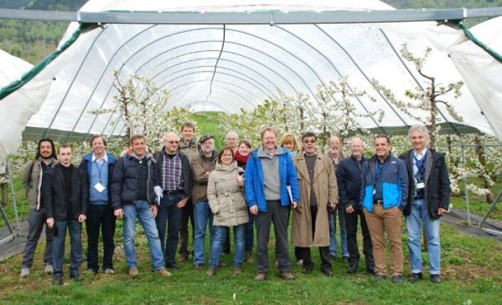 20 forskere fra 12 land i Europa besøkte nylig Bioforsk i Ullensvang til en samling om blomsterutvikling for moreller i Europa. (Foto: Roald Sørheim) 20 forskere fra 12 land i Europa besøkte nylig Bioforsk i Ullensvang til en samling om blomsterutvikling for moreller i Europa. (Foto: Roald Sørheim)