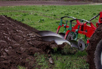 Dyp pløying ned til 24 cm er effektiv bekjempelse av høymole. (Foto: Lars Olav Brandsæter) Dyp pløying ned til 24 cm er effektiv bekjempelse av høymole. (Foto: Lars Olav Brandsæter)