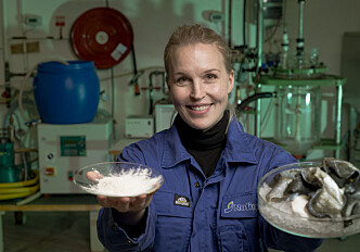 Collagen extracted from fish – better for the climate, suitable for vegetarians