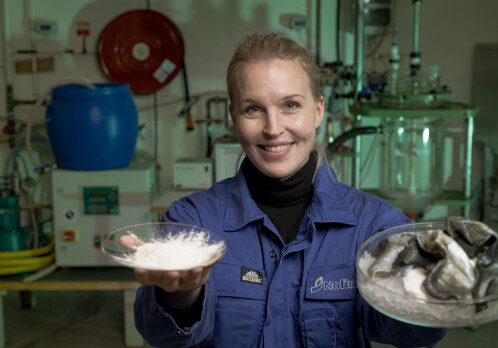 Collagen extracted from fish – better for the climate, suitable for vegetarians