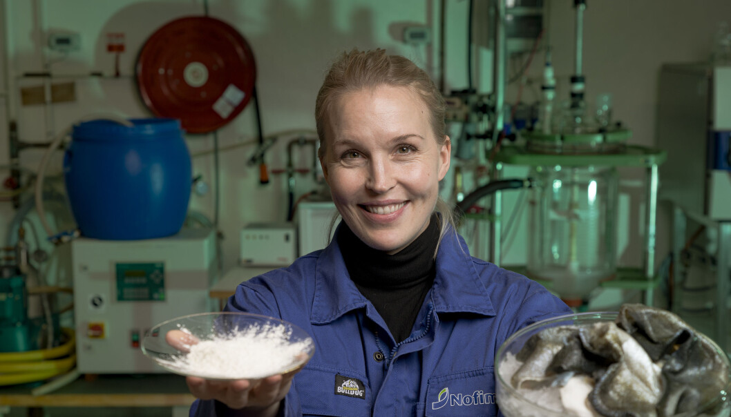 The collagen market is about to grow even bigger, now that Kjersti Lian and her team can extract this protein from several new species. The collagen market is about to grow even bigger, now that Kjersti Lian and her team can extract this protein from several new species.