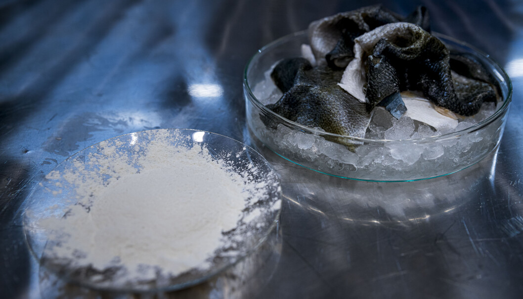 Fish skin is rich in collagen. The process must be tailored to each individual species to extract high-quality protein powder. Fish skin is rich in collagen. The process must be tailored to each individual species to extract high-quality protein powder.