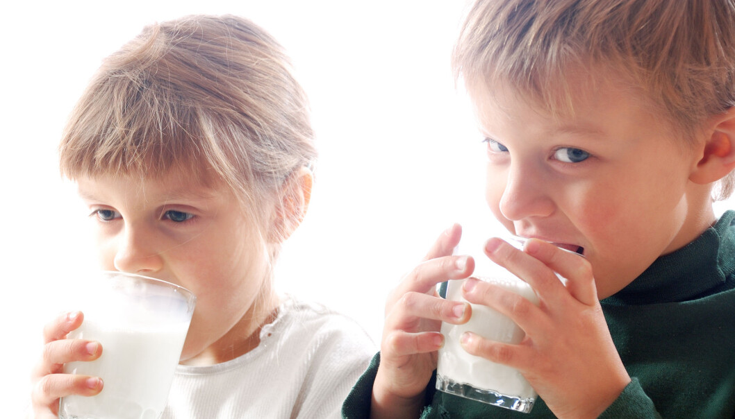 Helmelk inneholder dobbelt så mange kalorier som skummetmelk. Likevel ser det ikke ut til at barn som får helmelk er tykkere. Helmelk inneholder dobbelt så mange kalorier som skummetmelk. Likevel ser det ikke ut til at barn som får helmelk er tykkere.
