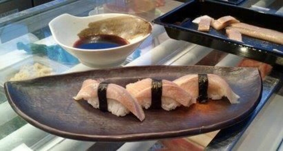 Jomfrusild passer godt til sushi. Det bekrefter flere sushikokker som har fått prøve produktet. (Foto: Arjen Kraaijeveld)