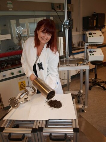 Senioringeniør Anne Reitan (PFI) viser frem torrefierte gran flis. (Foto: PFI) Senioringeniør Anne Reitan (PFI) viser frem torrefierte gran flis. (Foto: PFI)