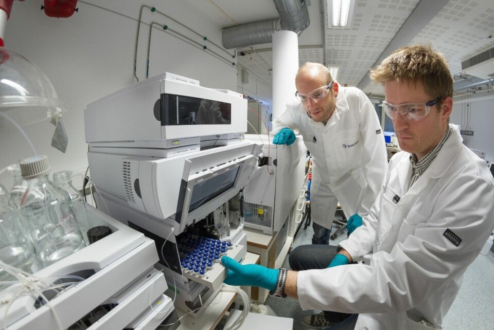 Bjørn Henrik Hansen (t.v) og Trond Størseth bruker det lille krepsedyret Callanus som miljøsensor. Her i laboratoriet ved SINTEF SeaLab. (Foto: Thor Nielsen)