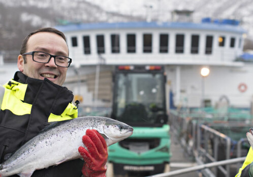 Increasingly expensive to “make” salmon - both in Norway and competitor countries