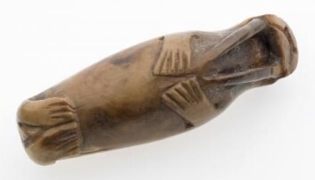 Denne lille hvalrossfiguren ble skåret ut av en hvalrosstann en gang i løpet av middelalderen og oppbevares nå ved NTNU Vitenskapsmuseet i Trondheim. Denne lille hvalrossfiguren ble skåret ut av en hvalrosstann en gang i løpet av middelalderen og oppbevares nå ved NTNU Vitenskapsmuseet i Trondheim.