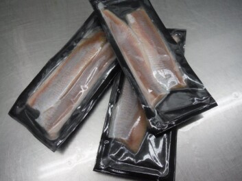 Emballasjen sikrer god holdbarhet, og gjør at jomfrusildefileten kan tines rett før tilberedning. (Foto: Ragnhild Skåra, Egersund Seafood) Emballasjen sikrer god holdbarhet, og gjør at jomfrusildefileten kan tines rett før tilberedning. (Foto: Ragnhild Skåra, Egersund Seafood)
