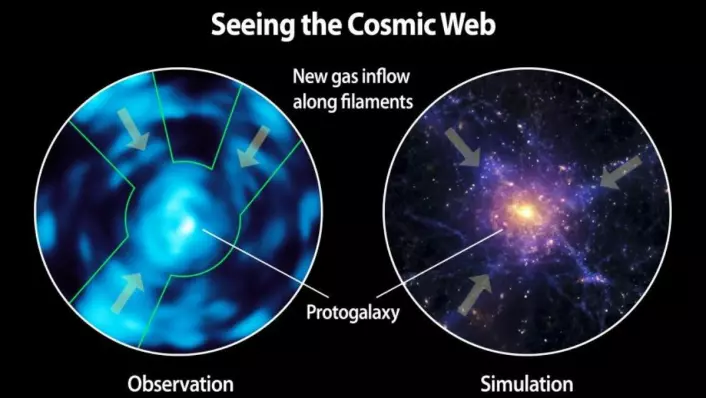 Tidligere har den intergalaktiske gassens struktur bare vært kjent gjennom simuleringer - nå har vi endelig fått et ordentlig bilde. (Foto: Christopher Martin, Robert Hurt)
