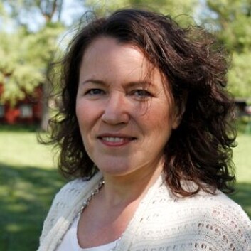 Annika Engström ved Linköping Universitet. (Foto: Linköpings Universitet Annika Engström ved Linköping Universitet. (Foto: Linköpings Universitet