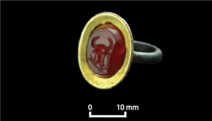 Ringen med oksehodet. Den er laget av kobber med gullfolie, med en karneol-stein i midten. Ringen med oksehodet. Den er laget av kobber med gullfolie, med en karneol-stein i midten.