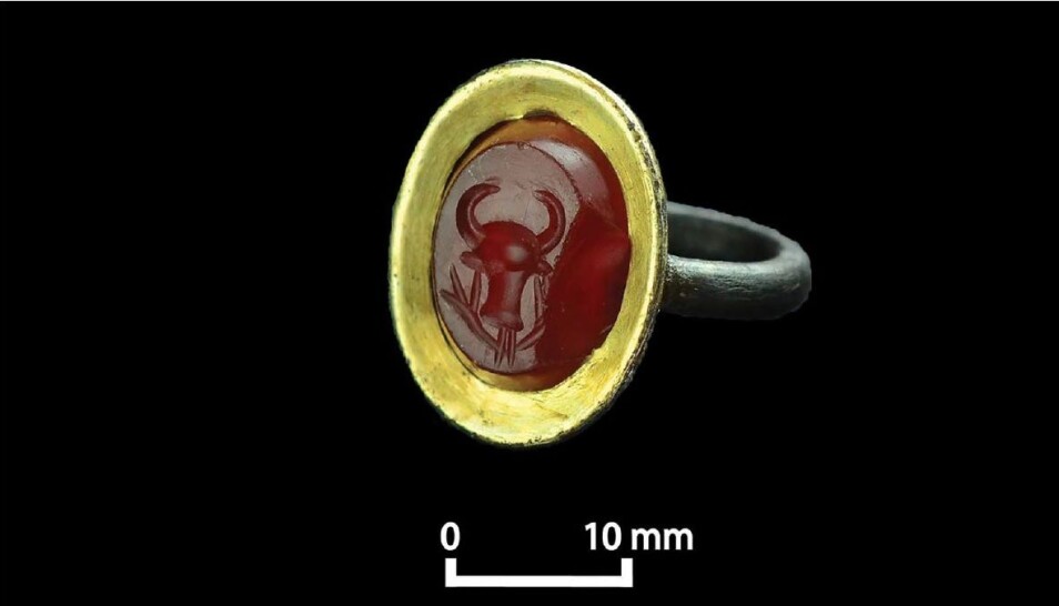 Ringen med oksehodet. Den er laget av kobber med gullfolie, med en karneol-stein i midten.