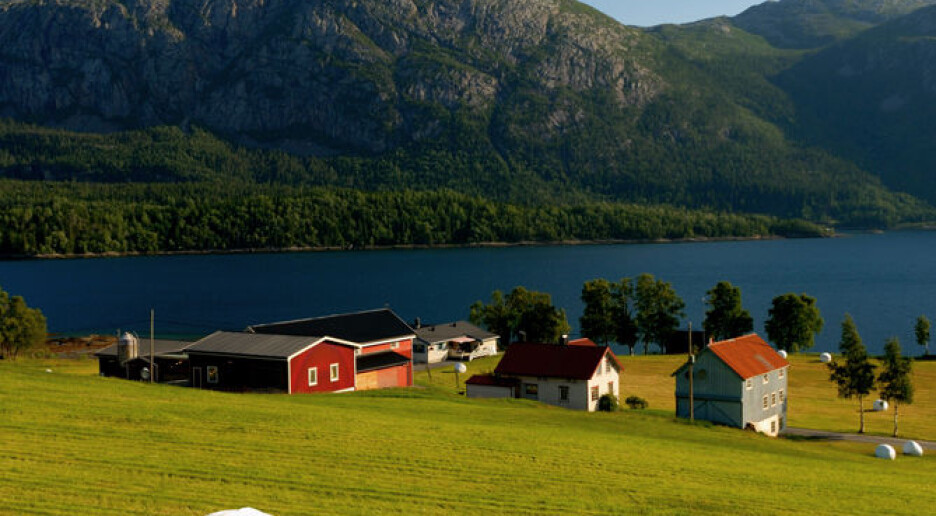 Bakgrunn: Ett av tre gårdsbruk lagt ned siden 1999