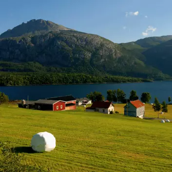 Det er god plass på den norske landsbygda for trangbodde europeere. (Illustrasjonsfoto: www.colourbox.no)
