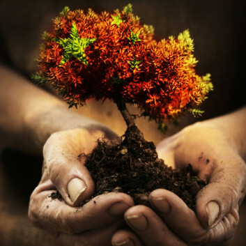 (Illustrasjonsfoto: iStockphoto) (Illustrasjonsfoto: iStockphoto)