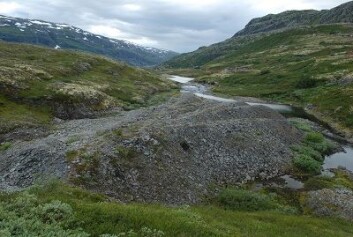 Steintipp ved Sletterust i Årdal kommune i Sogn og Fjordane fra ca. 1927. Legg merke til hvordan steinmassene er kjørt ut i "fingre". Denne steintippen regnes som kulturhistorisk verneverdig. (Foto: Knut Rydgren) Steintipp ved Sletterust i Årdal kommune i Sogn og Fjordane fra ca. 1927. Legg merke til hvordan steinmassene er kjørt ut i "fingre". Denne steintippen regnes som kulturhistorisk verneverdig. (Foto: Knut Rydgren)