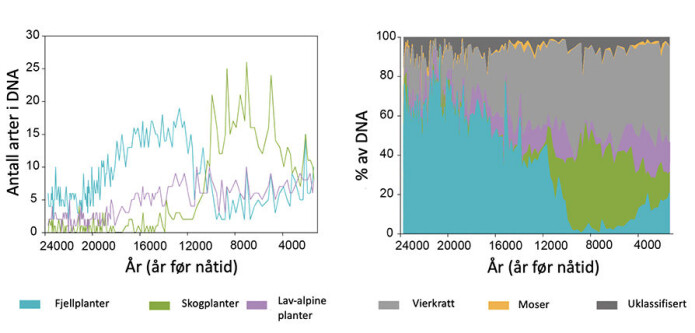 Grafene viser at bestanden av fjellplantene gikk kraftig ned da temperaturene gikk opp og skogplantene rykket inn (rundt år 8000), men at en liten del av fjellplantene likevel overlevde og at de fleste altså ikke ble utryddet. Grafene viser at bestanden av fjellplantene gikk kraftig ned da temperaturene gikk opp og skogplantene rykket inn (rundt år 8000), men at en liten del av fjellplantene likevel overlevde og at de fleste altså ikke ble utryddet.