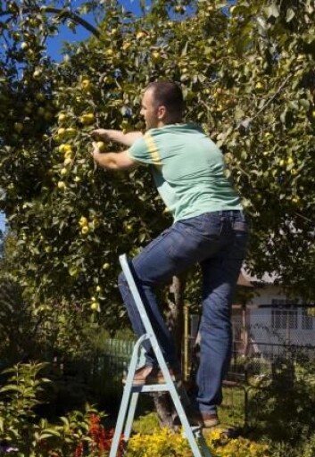 Dansker som hadde lavtslønnsarbeid i starten av 90-tallet, har i dag mer spesialisert arbeid med en høyere lønn. Lavtslønnsarbeidet er blitt overtatt av innvandrere og flyktninger. (Foto: Colourbox) Dansker som hadde lavtslønnsarbeid i starten av 90-tallet, har i dag mer spesialisert arbeid med en høyere lønn. Lavtslønnsarbeidet er blitt overtatt av innvandrere og flyktninger. (Foto: Colourbox)