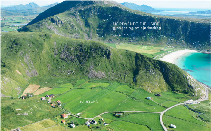 I fjellsidene på yttersidenebygdene som Haukland og Vik kan fjellsidene gro igjen om beitetrykket blir for lavt. I den nordvendte fjellsiden på Vik er gjengroingen med bjørkekratt allerede i gang. I fjellsidene på yttersidenebygdene som Haukland og Vik kan fjellsidene gro igjen om beitetrykket blir for lavt. I den nordvendte fjellsiden på Vik er gjengroingen med bjørkekratt allerede i gang.