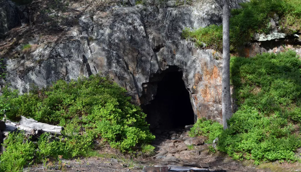 I løpet av 300 års gruvedrift ble det hentet ut 1350 tonn sølv fra til sammen 130 store og små gruver rundt Kongsberg. Finnes det også mye gull her?
