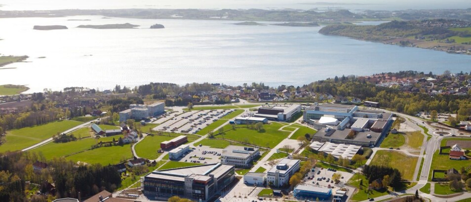 Forskningsdirektør