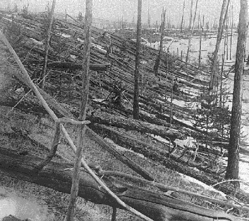 "Som om noen hadde gått løs på skogen med ljå" "Som om noen hadde gått løs på skogen med ljå"