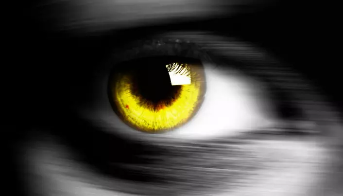 Hvorfor finnes det ikke mennesker med gule øyne?